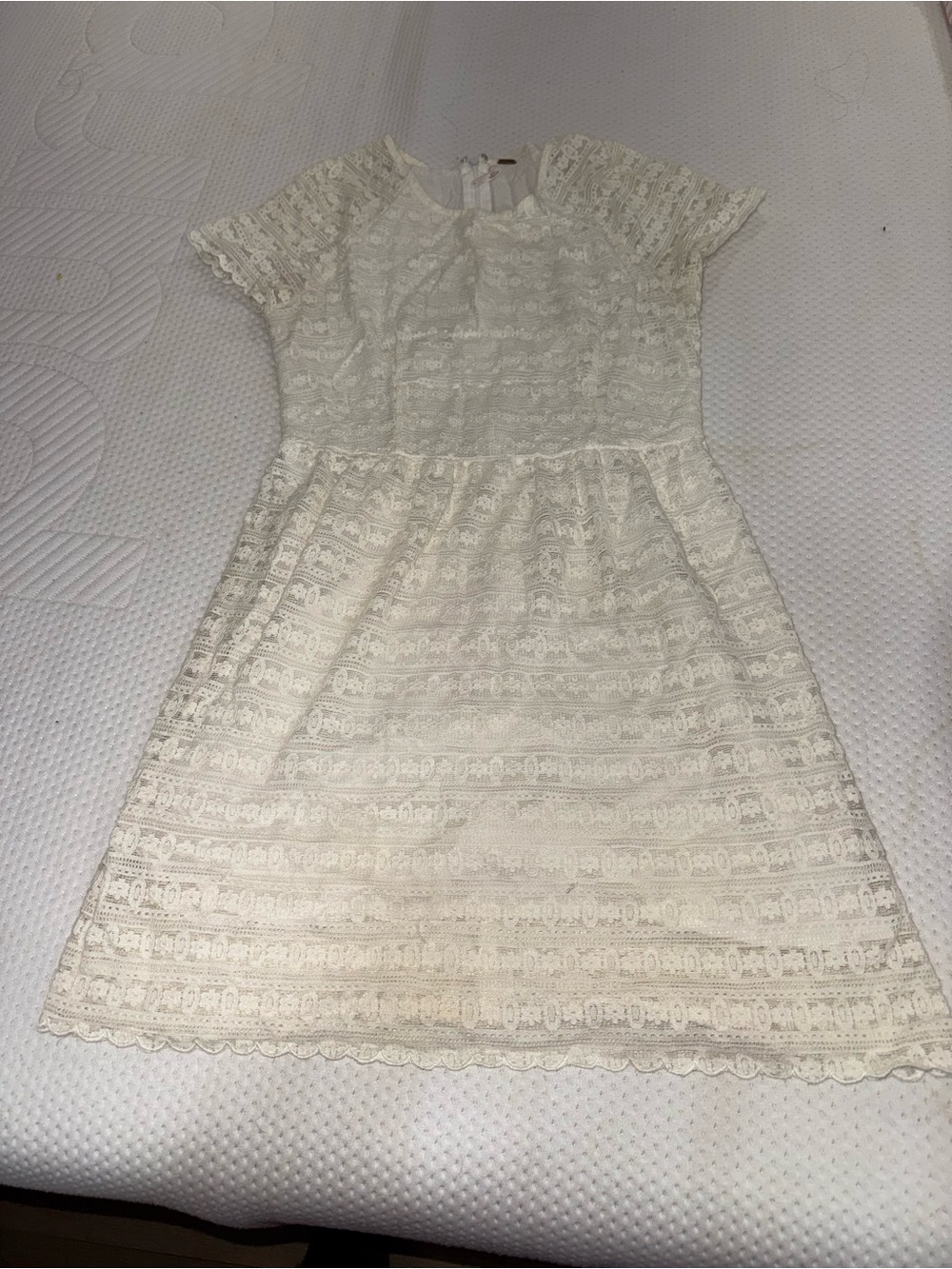 Free People Cream Lace Short Sleeve A-Line Dress